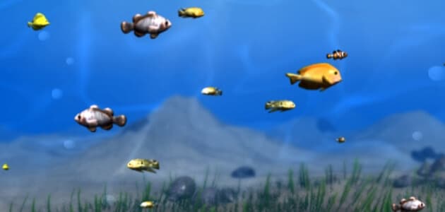 Sea Fishes 2
