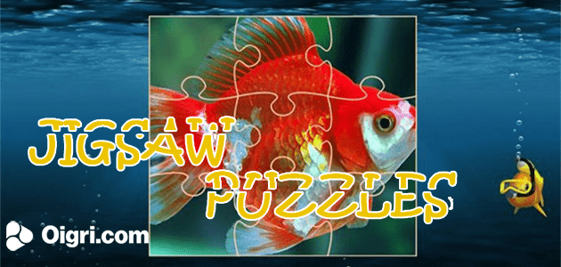 Puzzle goldfish