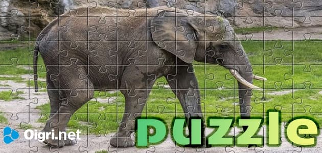 Puzzle animals elephants