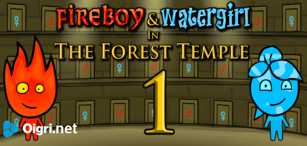 Fireboy and watergirl in the forest temple
