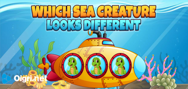 Which sea creature looks different