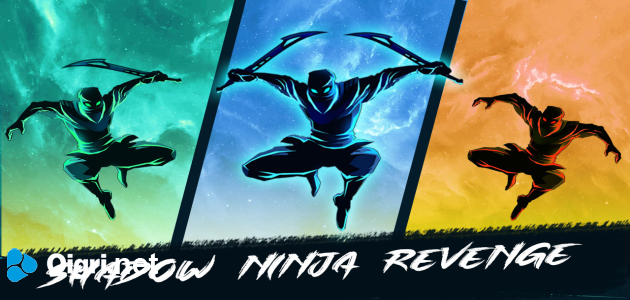 Shadow ninja revenge